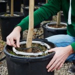 Кръгъл дозатор iCircle™ 250mm (10") с 8 капкообразувателя