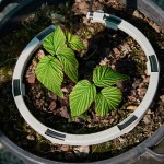 Кръгъл дозатор iCircle™ 250mm (10") с 8 капкообразувателя